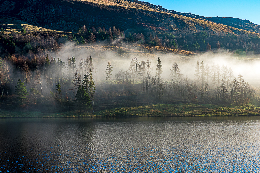 Misty Trees Dove stone Reservoir